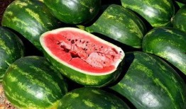 今日吃瓜的图片素材